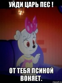 уйди царь пес ! от тебя псиной воняет.