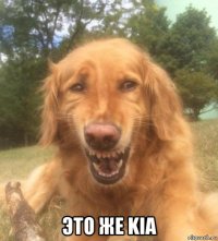  это же kia