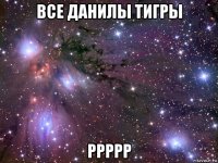 все данилы тигры ррррр