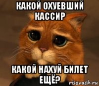 какой охуевший кассир какой нахуй билет ещё?