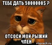 тебе дать 5000000$ ? отсоси мой рыжий член