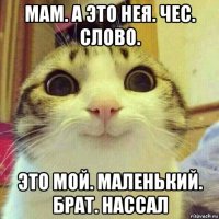 мам. а это нея. чес. слово. это мой. маленький. брат. нассал