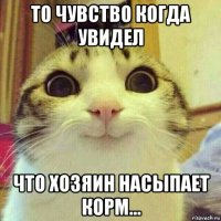 то чувство когда увидел что хозяин насыпает корм...