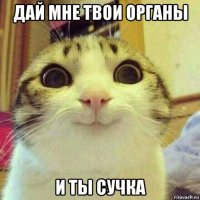 дай мне твои органы и ты сучка