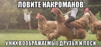 ловите накроманов у них воображаемые друзья и лоси