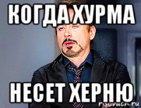 когда хурма несет херню