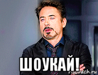  шоукай!