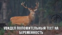  увидел положительный тест на беременность