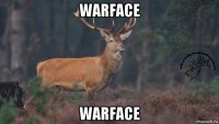 warface warface