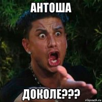 антоша доколе???