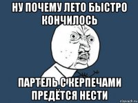 ну почему лето быстро кончилось партель с керпечами предётся нести