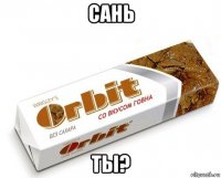 сань ты?