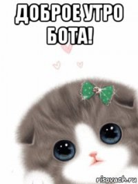 доброе утро бота! 
