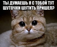 ты думаешь я с тобой тут шуточки шутить пришел? 