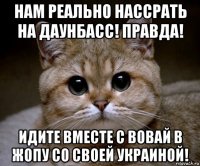 нам реально нассрать на даунбасс! правда! идите вместе с вовай в жопу со своей украиной!