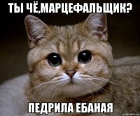 ты чё,марцефальщик? педрила ебаная