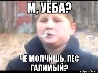 м, уёба? чё молчишь, пёс галимый?