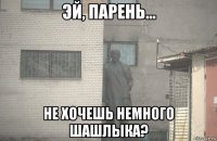  не хочешь немного шашлыка?