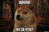 школа ну за что?