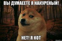 вы думаеете я накуреный! нет! я кот