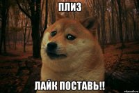 плиз лайк поставь!!