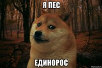 я пес единорос