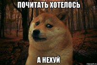 почитать хотелось а нехуй