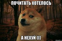 почитать хотелось а нехуй (((