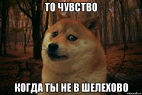 то чувство когда ты не в шелехово