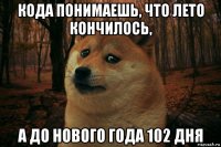 кода понимаешь, что лето кончилось, а до нового года 102 дня