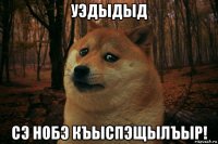 уэдыдыд сэ нобэ къыспэщылъыр!