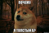 почему я толстый а?