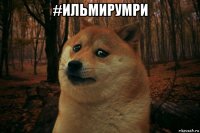 #ильмирумри 