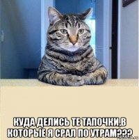  куда делись те тапочки,в которые я срал по утрам???