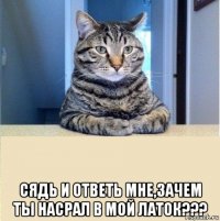  сядь и ответь мне,зачем ты насрал в мой латок???