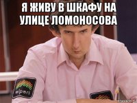 я живу в шкафу на улице ломоносова 