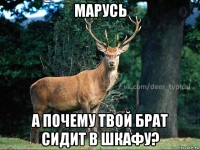 марусь а почему твой брат сидит в шкафу?