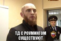  тд с роумингом существуют