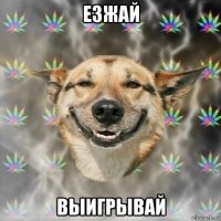 езжай выигрывай