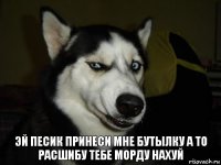 Эй песик принеси мне бутылку а то расшибу тебе морду нахуй