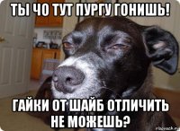 ты чо тут пургу гонишь! гайки от шайб отличить не можешь?