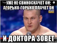 уже не свиноскачет он, агорько-горько плачет он и доктора зовет