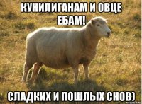 кунилиганам и овце ебам! сладких и пошлых снов)
