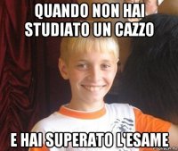 quando non hai studiato un cazzo e hai superato l'esame