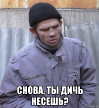  снова, ты дичь несешь?