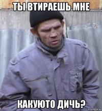 ты втираешь мне какуюто дичь?