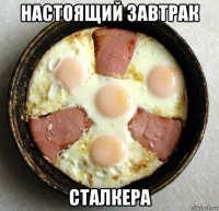 настоящий завтрак сталкера