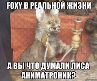 foxy в реальной жизни а вы что думали лиса аниматроник?