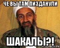 че вы там пизданули шакалы?!