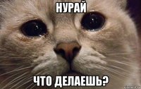 нурай что делаешь?